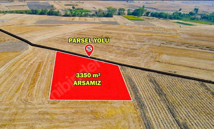 TEKİRDAĞ MALKARA KOZYÖRÜK 3.350 m² MÜSTAKİL TARLA