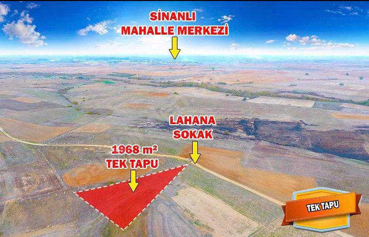 TEKİRDAĞ HAYRABOLU LAHANA 1.968 m²