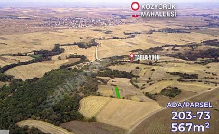  TEKİRDAĞ MALKARA KOZYÖRÜK 566 m² MÜSTAKİL TARLA